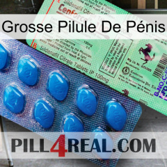 Grosse Pilule De Pénis new02